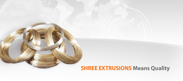 Shree Extrusions Limited